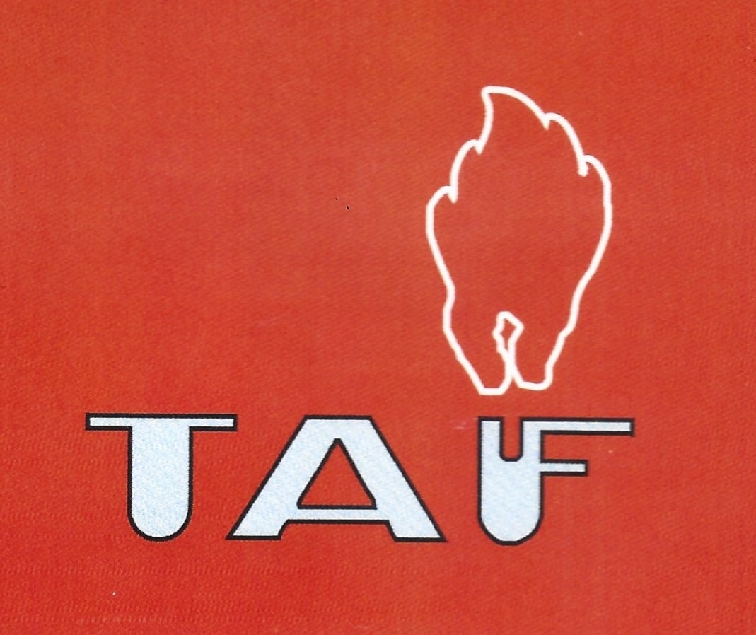 Logo originale TAF Termocamini